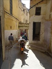 Transport in Fez' medina: by marciekiwi, Views[224]
