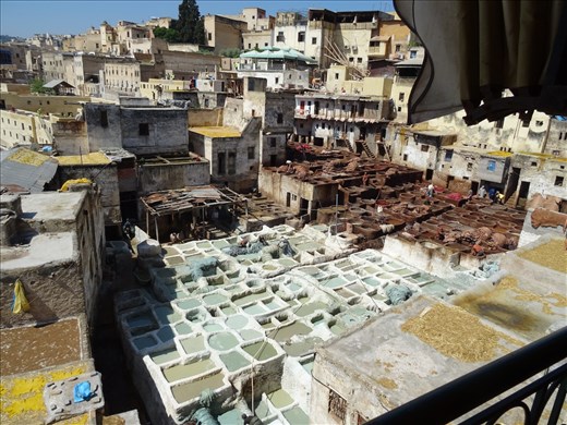The tannery - Fez