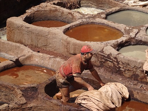 Tough work - Fez tannery