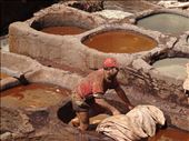 Tough work - Fez tannery: by marciekiwi, Views[173]