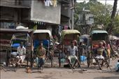 Kolkata rickshaw pullers who have been banned and can be found only in Kalighat.: by marconovara, Views[876]