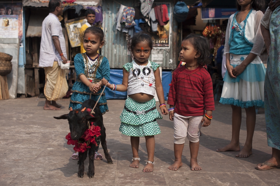 Little girls holding a goat to be sacrificed in the Sunday ritual at Kalighat. 