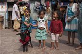 Little girls holding a goat to be sacrificed in the Sunday ritual at Kalighat. : by marconovara, Views[962]