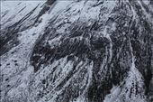 Grizzly Bear on Mountainside: by marcosdavid, Views[291]