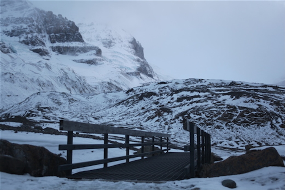 Athabasca Glacier Bridge