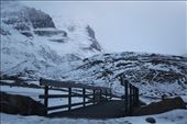 Athabasca Glacier Bridge: by marcosdavid, Views[214]