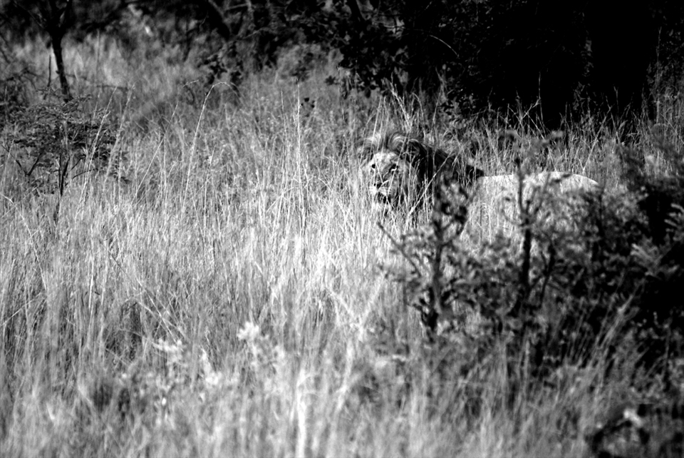 He showed himself for about 30 seconds. I'm glad he did.