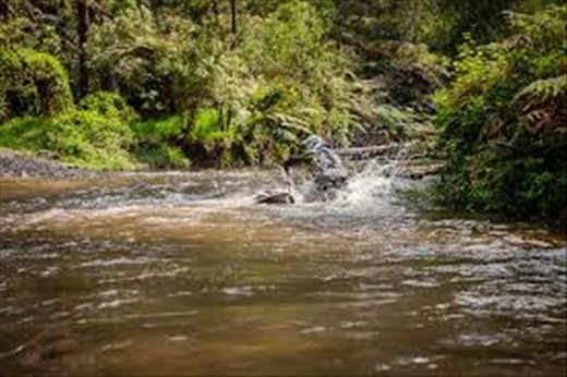 It's muddy water country