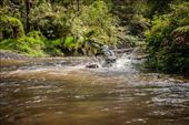 It's muddy water country: by marfor, Views[131]