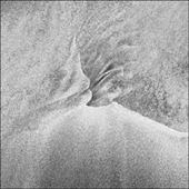 wave action: by marfor, Views[140]