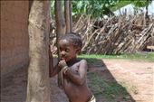 One of the 10 children in farmer's family of tribe Balanda. Village near Bissau.: by margarita, Views[233]