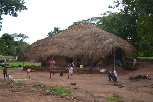 Ordinary day of one family somewhere in jungles.