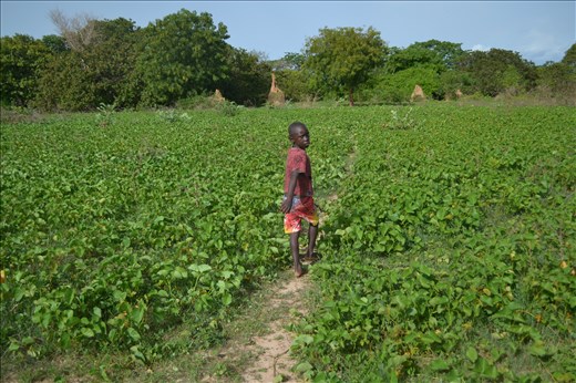 A boy guiding you to the beach. Island near the Bissau - capital of Guinea Bissa