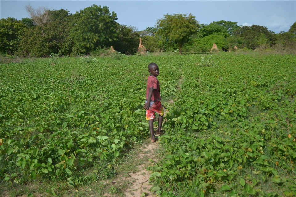 A boy guiding you to the beach. Island near the Bissau - capital of Guinea Bissa