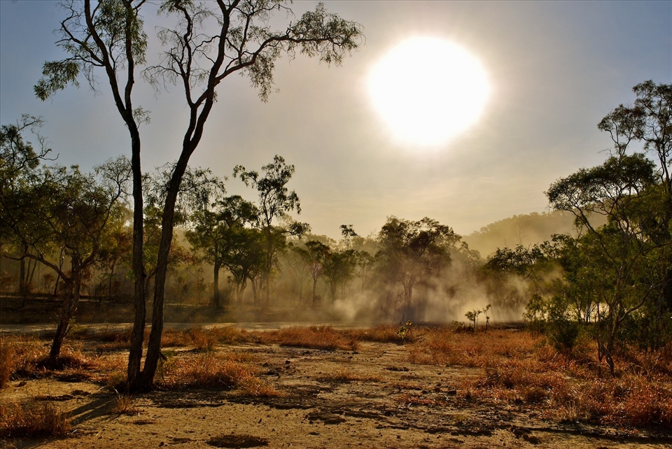 The evening before the Laura Dance Festival, the dust rises in the sunlight.