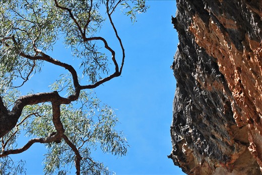 The country side around the cave paintings was steep and striking.