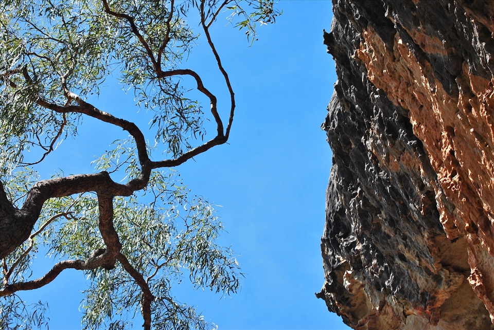 The country side around the cave paintings was steep and striking.