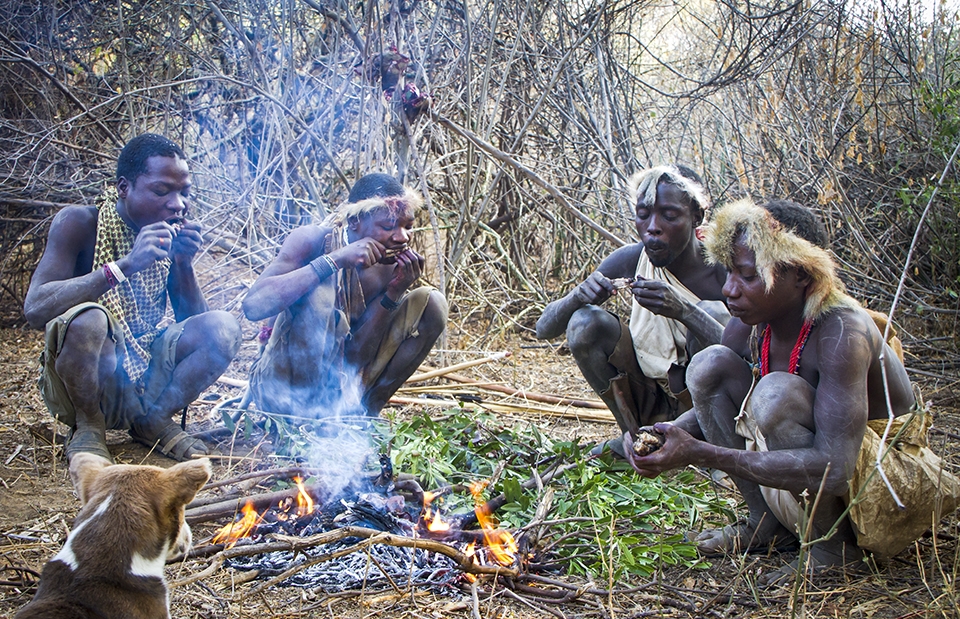 The hunters reward was some of the offal cooked and eaten on the spot. 
