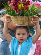 proud member of the parade: by margitpirsch, Views[750]