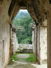 by margitpirsch, Views[424]