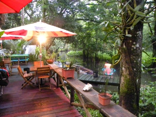 a piece of jungle - good place to be.