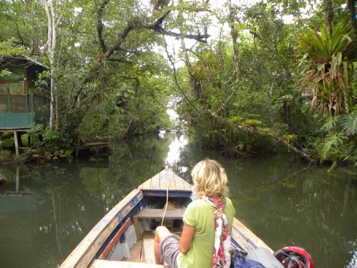Leaving the jungle on Rio Dulce.