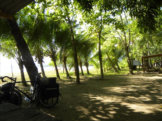Sweet shade, perfect temperature at Pochote Beach