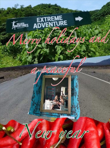 Our holiday card for 2012