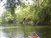 Fun on the Rio Claro: by margitpirsch, Views[248]