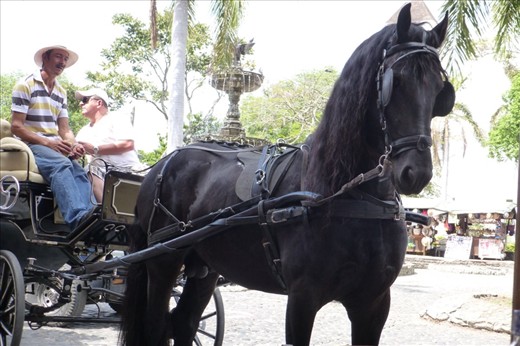 shit, that horse it beautiful.