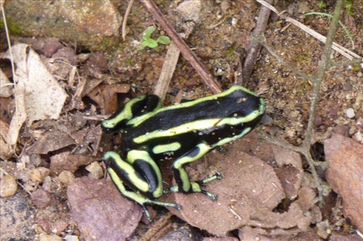 Company on the roadside