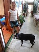 Prewash - Negro the dog licking my salty legs...: by margitpirsch, Views[2494]