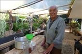 Fred at the finca makes honey. He fed us Mango and honey for breakfast: by margitpirsch, Views[1538]