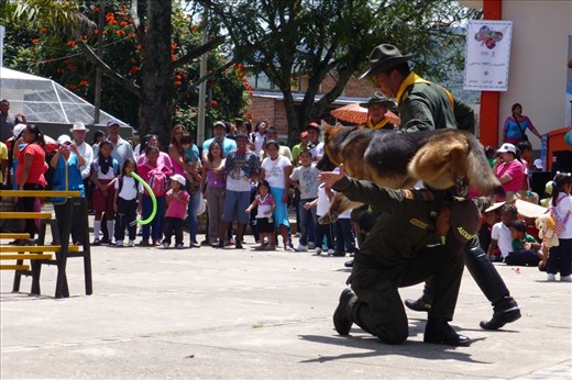 Dog show in Piendamo