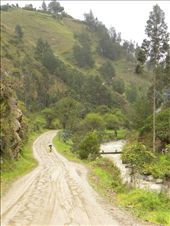 Mud is the game.: by margitpirsch, Views[246]