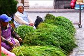 Cuenca market: by margitpirsch, Views[253]
