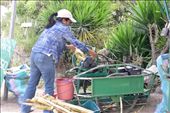 the production of sugar cane juice on the side of the road.: by margitpirsch, Views[215]