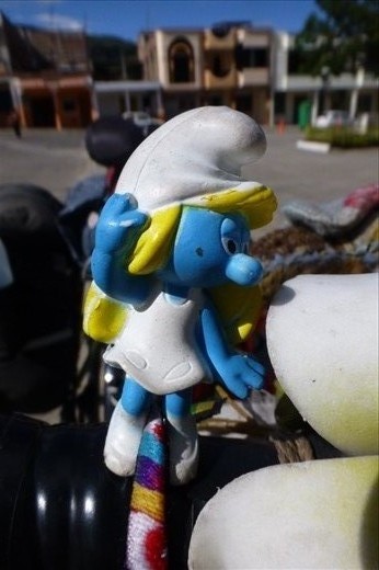 Schlumpfinchen - my new bicycle 