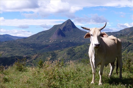We climbed higher than the peak of that mountain on the other side of the valley....wish I would have known...