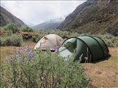 spending a day in the tent - hoping for better weather..: by margitpirsch, Views[1210]