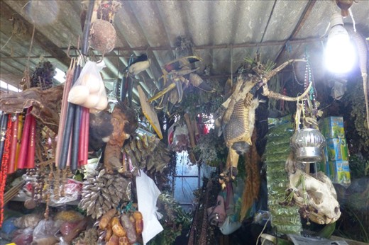 Items to be used in magic potions 