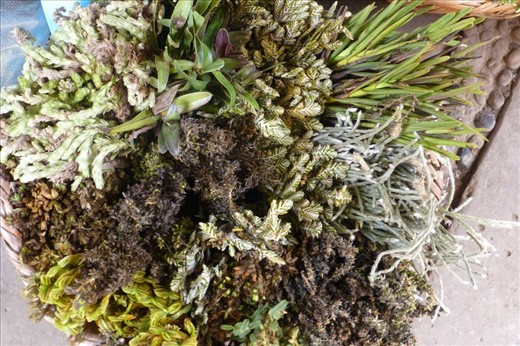 at the Herb Market in Chiclayo