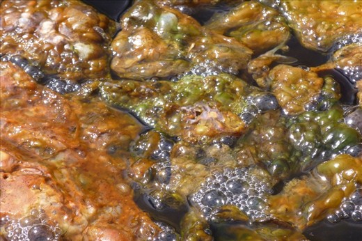 Hot 80 degree C bubbling water..