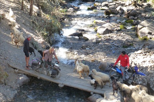 sharing the path around the broken bridge with sheep, goats, pigs and motorcyclists a well as pedestrians. 
