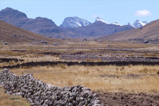 Alto Plano beauty. At 4300m.