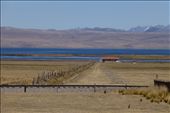 Lake Junin - Alto Plano.: by margitpirsch, Views[259]