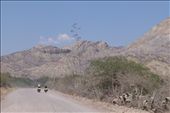 Indre and Waldemar up ahead..riding through dessert like landscape to Ayacucho.: by margitpirsch, Views[226]