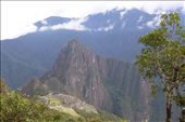 It's magic!!!: by margitpirsch, Views[637]