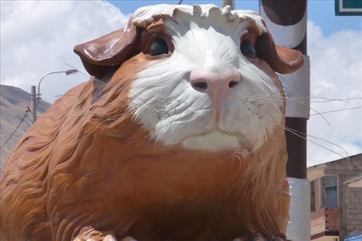 This was a big cuy sculpture in front of a village...check out those whiskers!