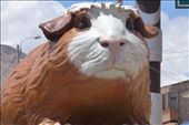This was a big cuy sculpture in front of a village...check out those whiskers!: by margitpirsch, Views[220]